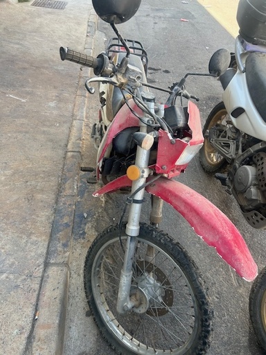 [G/ZS156FM1-2] 0115 ZEALSUN F2008 125cc 2006